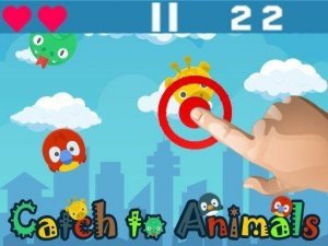 Catch Animals Online Game - Ludoryx free online game