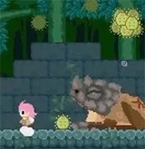 Phoenotopia Adventure Puzzle Game