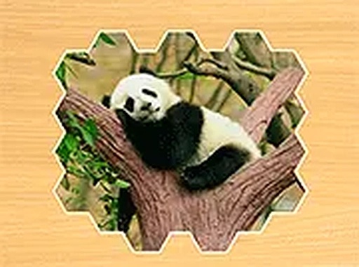Jigsaw Puzzles Hexa Online Game